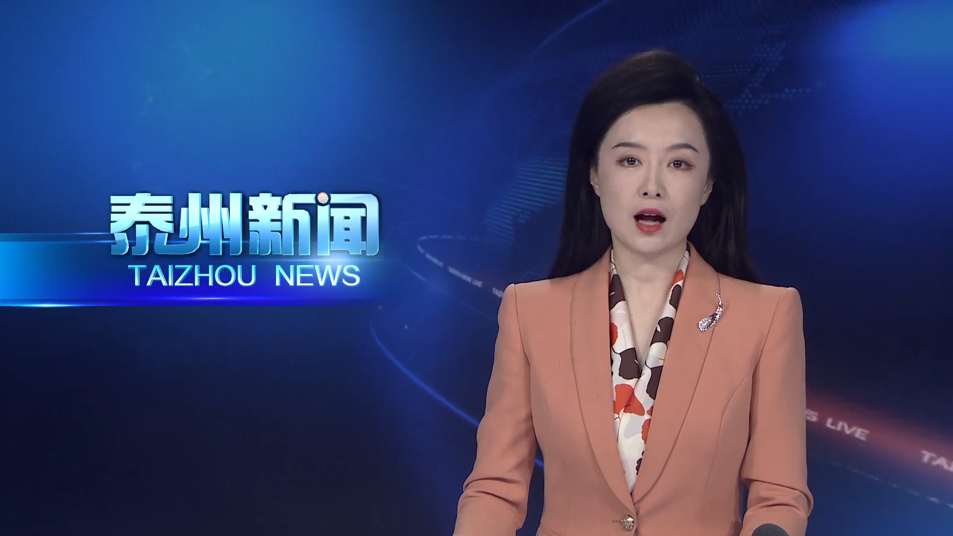 全市审判业务专家事迹报告会举行