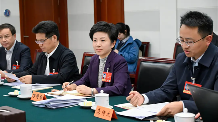 我市代表参加江苏代表团小组会议